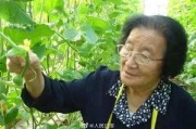 娱乐圈吃瓜呆头鹅是谁,揭秘其真实身份与幕后故事