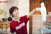 娱乐圈吃瓜王源,娱乐圈吃瓜王，揭秘明星幕后故事